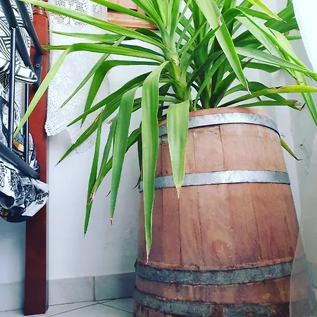 The Balcony Of Meteora 1 The Center Of Kalampáka