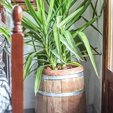 The Balcony Of Meteora 1 The Center Of * 칼람파카